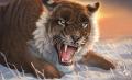 1284.balaa fearful...bybalaa