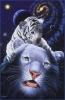 am-White Tiger Magic
