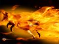 Fire Fox