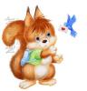 0206 belka