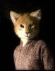 Mr. Cat