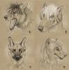 438.-star- sketches11