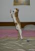 1208333932_img_473..._14.jpg