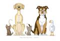 1323115301.jaxxbla...1 small