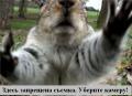 026 animals