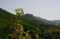DSC_0676.jpg