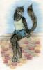 1275412169.isw-avalon kitty