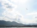 IMG 6957