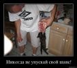 s3img 5315149 1727 1