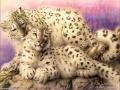 animals211
