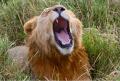 IMG 3038