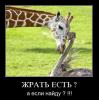 1289400951 foto 18