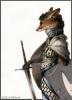 Fox Knight by Zeth...- �����