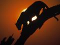 african_sunset_leopard.jpg