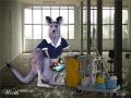 1241113621 working025