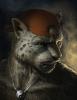 1321496235.ryanwar...v final