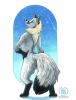 Fox_11