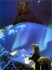 Candle in the Window