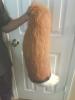 img1248a